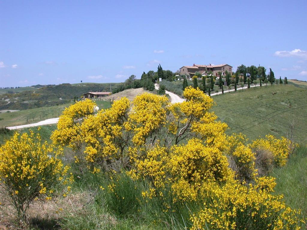 Agriturismo Palazzo Conti A Pienza Extérieur photo